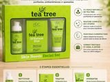 Coffret cadeau de soins pour la peau à l'arbre à thé