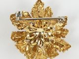 an image of a gold brooch with a diamond in the center
