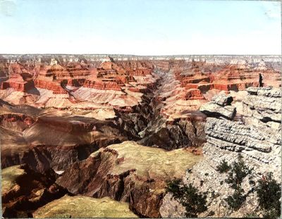 une photo du Grand Canyon vue du sommet d'une colline