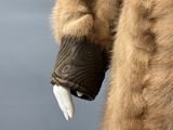un gros plan sur la patte et les griffes d'un ours