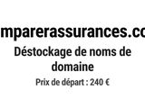 Photo 1/1 du lot