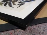 Photo 8/20 du lot