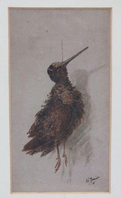 peinture représentant un oiseau au long bec sur fond blanc