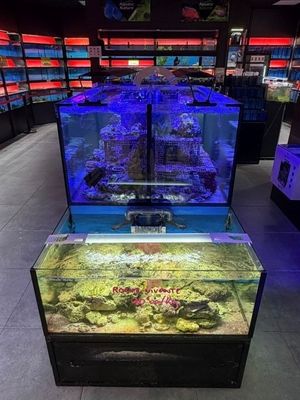 un aquarium contenant un poisson, dans un magasin