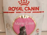 un sac de croquettes pour chat posé sur un plan de travail