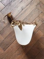 SUSPENSION de style Louis XVI en verre opalin blanc et laito… (photo 2)