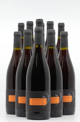 six bouteilles de vin sont alignées sur une surface blanche