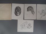 dessins d'un singe, d'un singe, d'un singe, d'un singe, d'un singe, d'un singe, d'un singe, d'un singe, d'un singe, d'un singe,