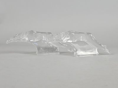 une paire de figurines d'animaux en verre transparent posées sur une surface blanche