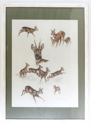 une photo d'une photo représentant un groupe de cerfs
