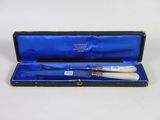 a blue case with a silver handle and a silver spoon in it