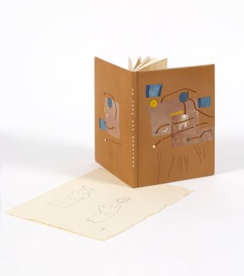 la photo d'un livre sur lequel figure la photo d'un chat