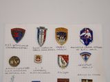 a lot of different types of badges on a piece of paper