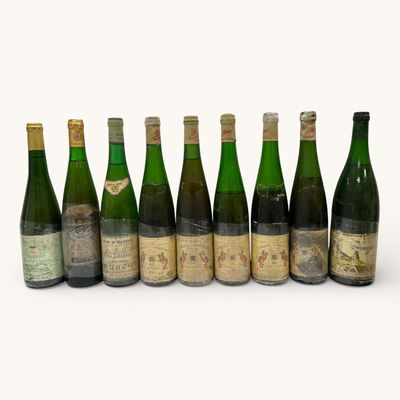 six bouteilles de vin sont alignées sur une surface blanche