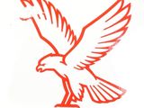 an image of a drawing of a red bird on a white background