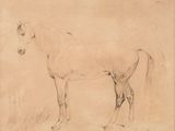 drawing of a horse standing in a field by a fence