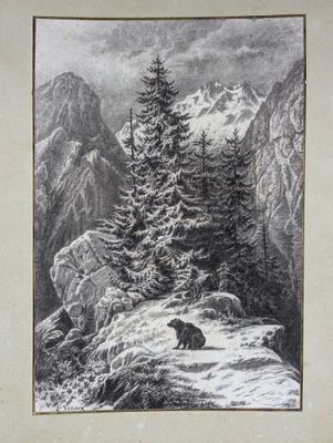 drawing of a bear in a snowy mountain landscape with pine trees