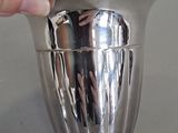 a person holding a silver cup in their hand
