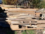 un tas de bois posé par terre près d'un arbre