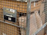 a large metal cage with a bunch of boxes inside of it