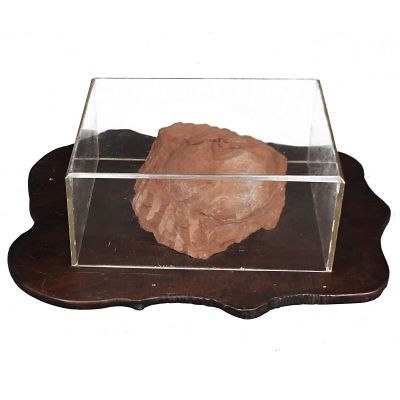 OEuf fossile trouvé dans un bassin continental tertiaire (cr…