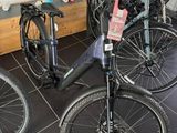 les nombreux vélos exposés dans un magasin
