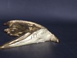 an image of a close up of a metal object on a table