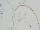 a drawing of a cat and a flower on a table