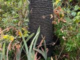a black stone sculpture in the middle of a forest