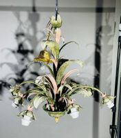 Paire de lustres électrifiés en tôle polychrome à huit bras … (photo 4)