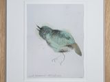 un dessin représentant un oiseau, encadré et accroché au mur