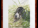 tableau représentant un chien noir et blanc couché dans les hautes herbes