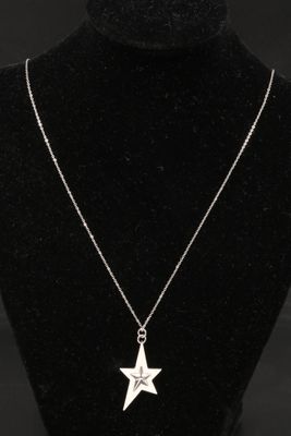 a silver necklace with a star pendant on a black mannequin