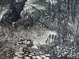 a black and white drawing of a stream in the woods