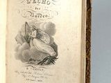 an open book with a drawing of a woman sitting on top of it