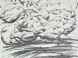 drawing of a flock of birds flying in the sky over a body of water