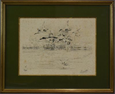 un dessin représentant des oiseaux volant au-dessus d'un plan d'eau