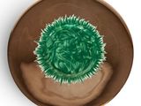 brown plate with a green flower on it on a white surface