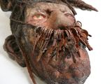 un gros plan sur la tête d'un homme aux dreadlocks et à la barbe