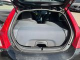 a car with its trunk open in a parking lot