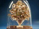 a glass dome with a vase of flowers inside of it