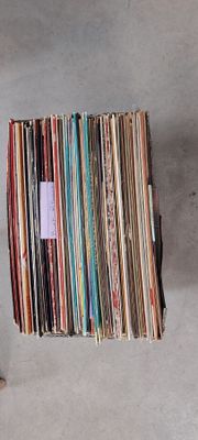 a cat that is standing next to a pile of records