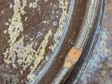 an image of a close up of a metal plate