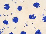 a picture of a blue and white painting on the wall