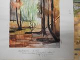 a watercolor painting of a forest scene with trees