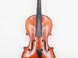 a close up of a violin on a white background