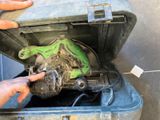 une personne tenant un outil dans une boîte
