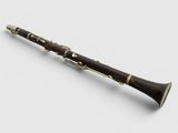 a close up of a clarinet on a white surface with a white background