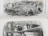 un livre ouvert comportant deux illustrations représentant une ferme et une ferme