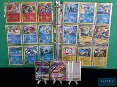 de nombreux types de cartes de pokemon affichées sur le mur